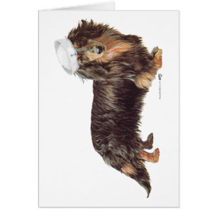 Dachshund Matrose