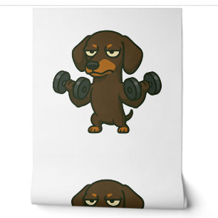 Dachshund mit Hantel-Fitnesstraining Bizeps wo Tapete