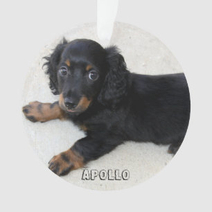 Dachshund Ornement de Noël acrylique Ajouter photo