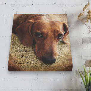 Dachshund Portrait Toile