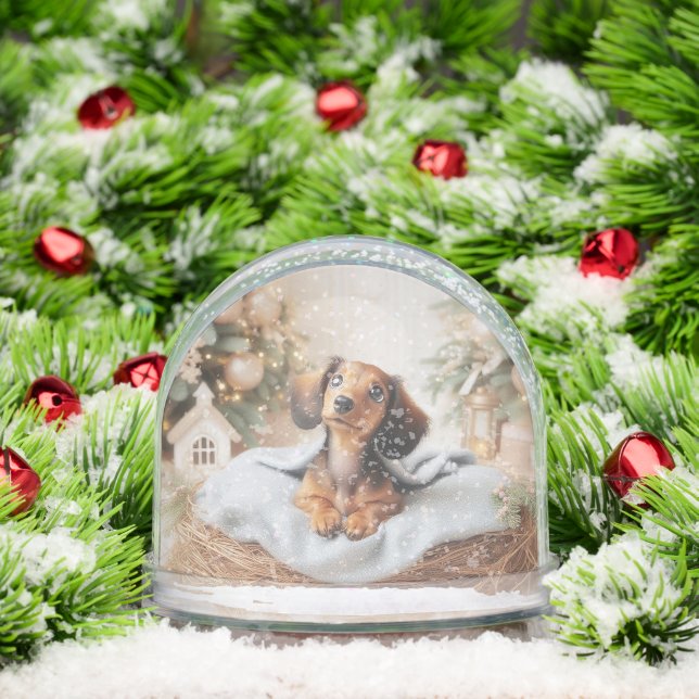 Dachshund Puppy Globe Personnalisé De Neige (Noël)