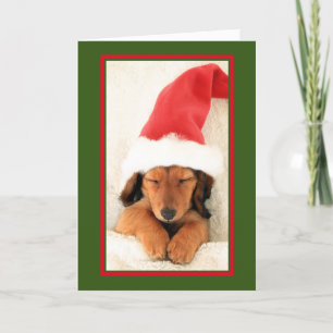 DACHSHUND PUPPY SOMMETTRE CARTE DE NOËL