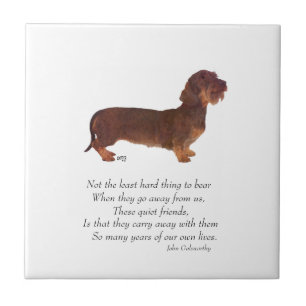 Dachshund Rainbow Bridge Fliese