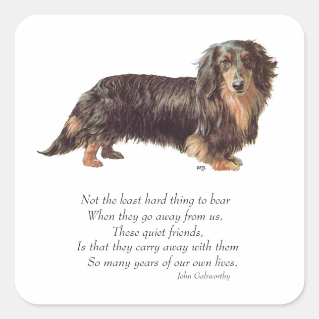 Dachshund Rainbow Bridge Quadratischer Aufkleber (Vorderseite)