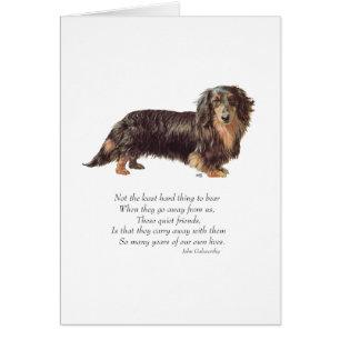 Dachshund Regenbogenbrücke