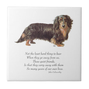 Dachshund Regenbogenbrücke Fliese