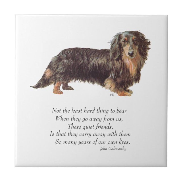 Dachshund Regenbogenbrücke Fliese (Vorderseite)