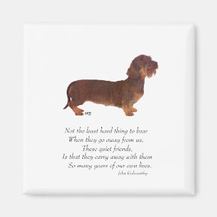 Dachshund Regenbogenbrücke Magnet