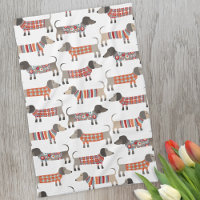Dachshund Sausage Dog