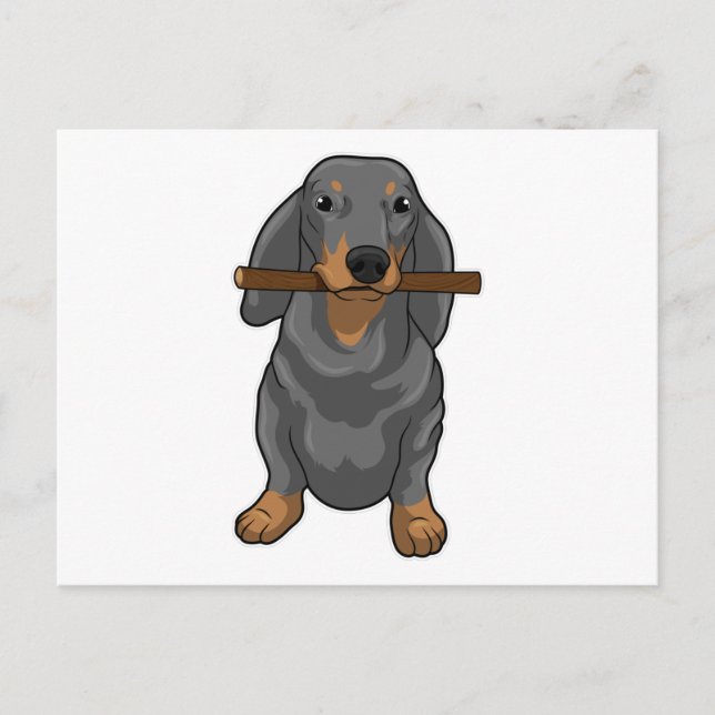 Dachshund Stock Postkarte (Vorderseite)