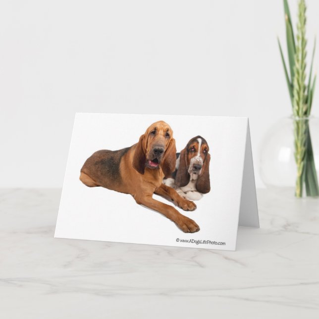 Dachshund-und Bluthund-Freunde Karte (Vorderseite)