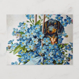 Dachshund und Vergissmeinnicht Postkarte
