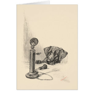Dachshund und Vintage-Telefon