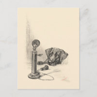 Dachshund und Vintage-Telefon