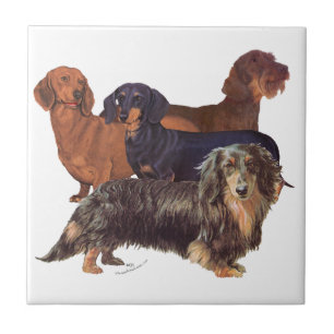Dachshund-Varietäten Fliese
