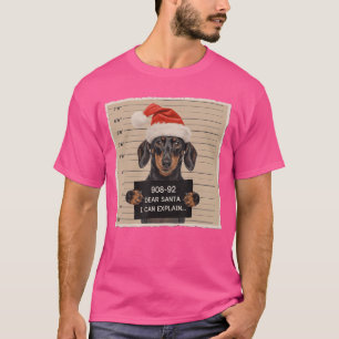 Dachshund Weihnachten Lieber Santa Ich kann erklär T-Shirt