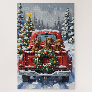 Dachshund Weihnachten Rotes Lastwagen Urlaub