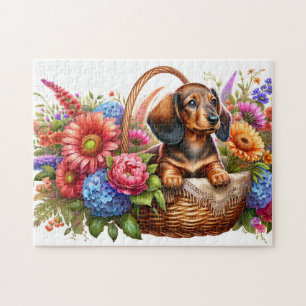 Dachshund-Welpe