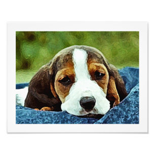 Dachshund-Welpe, der - Brown Schwarzweiss Fotodruck