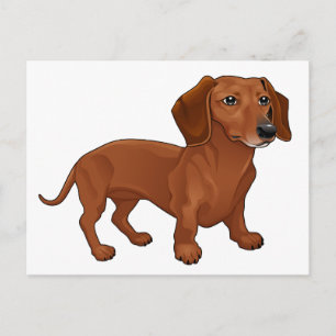 Dachshund-Welpe - Hallo, ich denke an dich, Liebe Postkarte