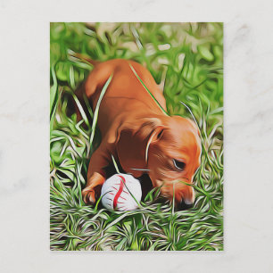 Dachshund-Welpe liegt im Gras mit Weihnachtsball Postkarte