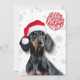Dachshund Wiener Hund Schneeflocke Weihnachten