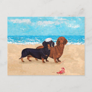 Dachshunde am Strand Postkarte