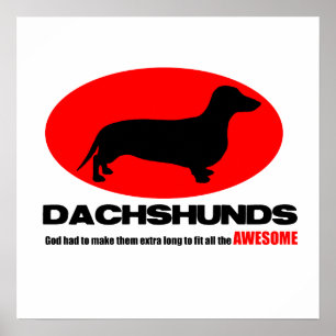 Dachshunds - Dieu les a fait extra long Poster