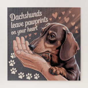 Dachshunds hinterlassen Pfotenabdrücke in Ihrem He
