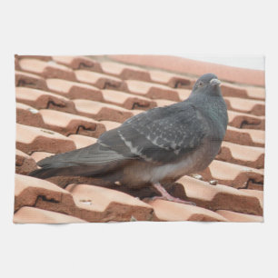 Dachterrasse Taube Küchentücher