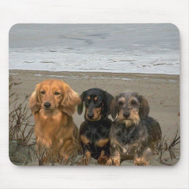 Dackel auf Strand Mousepad (Vorne)
