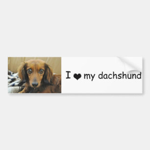 Dackel-Autoaufkleber Autoaufkleber