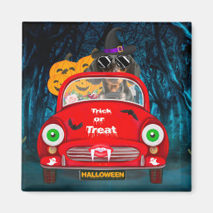 Dackel Autofahren Auto Beängstigend Halloween Magnet