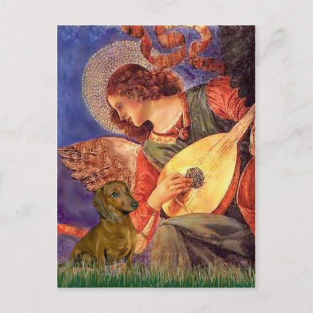 Dackel (braun1) - Mandolin Angel Postkarte (Vorderseite)