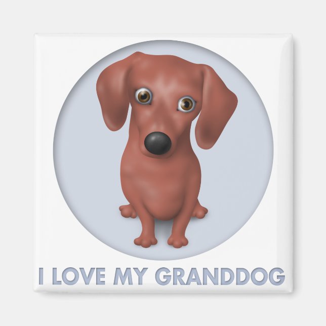 Dackel (braun) Großhund Magnet (Vorne)