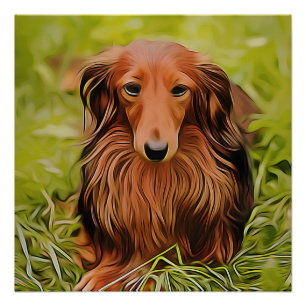 Dackel braune Dackel auf Gras im Garten Weihnachte Poster