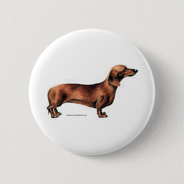 Dackel Button (Vorderseite)