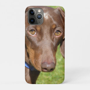 Dackel Case-Mate iPhone Hülle