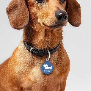 Dackel Dackel Dog ID Dog Markierung blau Haustiermarke