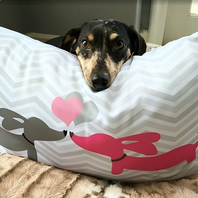 Dackel Dackel Hunde Liebe & Herz Rosa & Grau Lendenkissen (Dachshunds in love pillow)