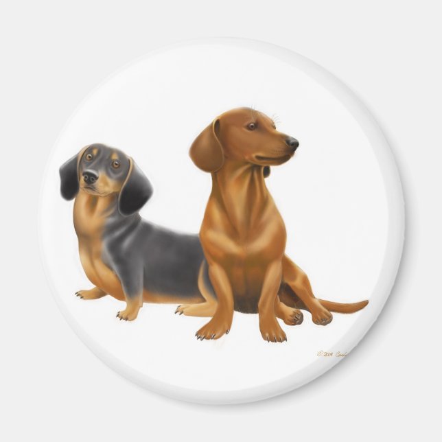 Dackel Dackel Hunde Magnet (Vorne)