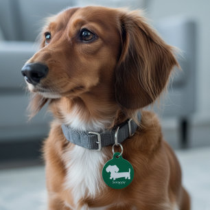 Dackel Dackel Hundescharmee Grüne ID-Markierung Haustiermarke