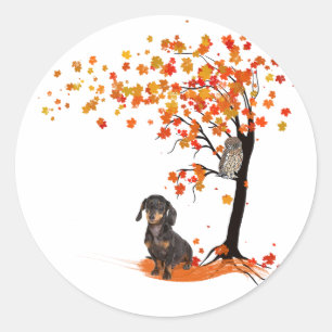 Dackel Dackel im Herbst und Herbst Runder Aufkleber