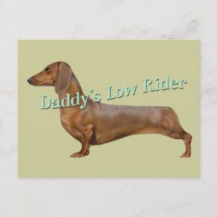 Dackel Daddy's Low-Rider-Geschenke Postkarte