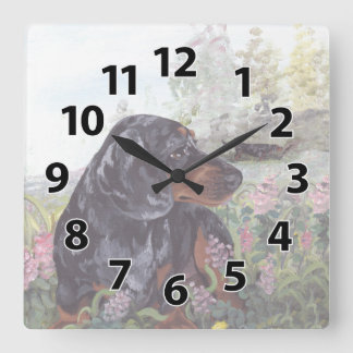 Dackel dapple Welpen-Träumer-Uhr Quadratische Wanduhr