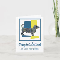 Dackel Daxie Welpe Hund Glückwunschkarte