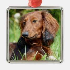 Dackel der braunen Haare - Dackel Ornament Aus Metall