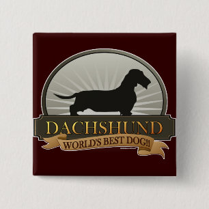 Dackel [Draht-haarig] Button