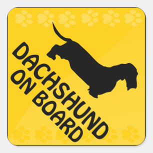 Dackel [Draht-haariges] Xing Quadratischer Aufkleber