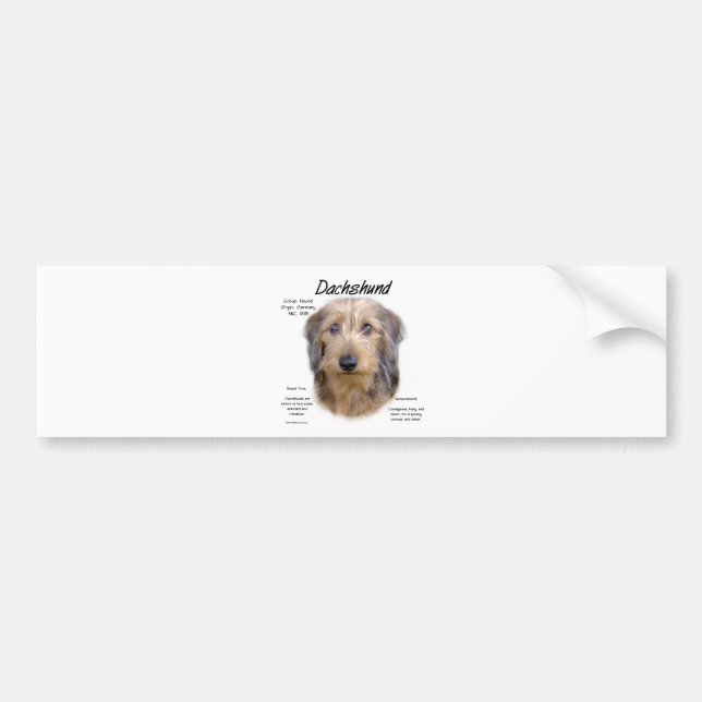Dackel (Drahthaarterrier) Historisches Design Autoaufkleber (Vorne)